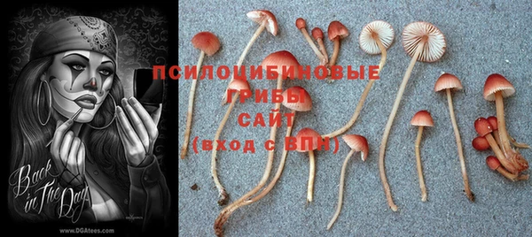 таблы Армянск