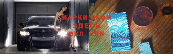 сатива Аркадак