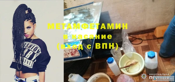 сатива Аркадак