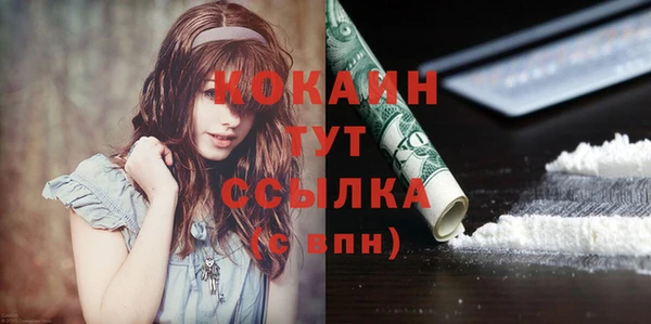 сатива Аркадак