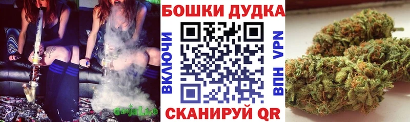 где можно купить   Балтийск  Бошки марихуана White Widow 